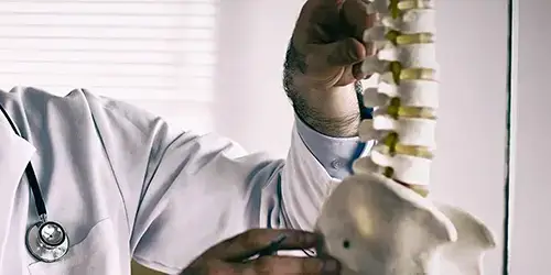 Doctor examening a spinal cord model
